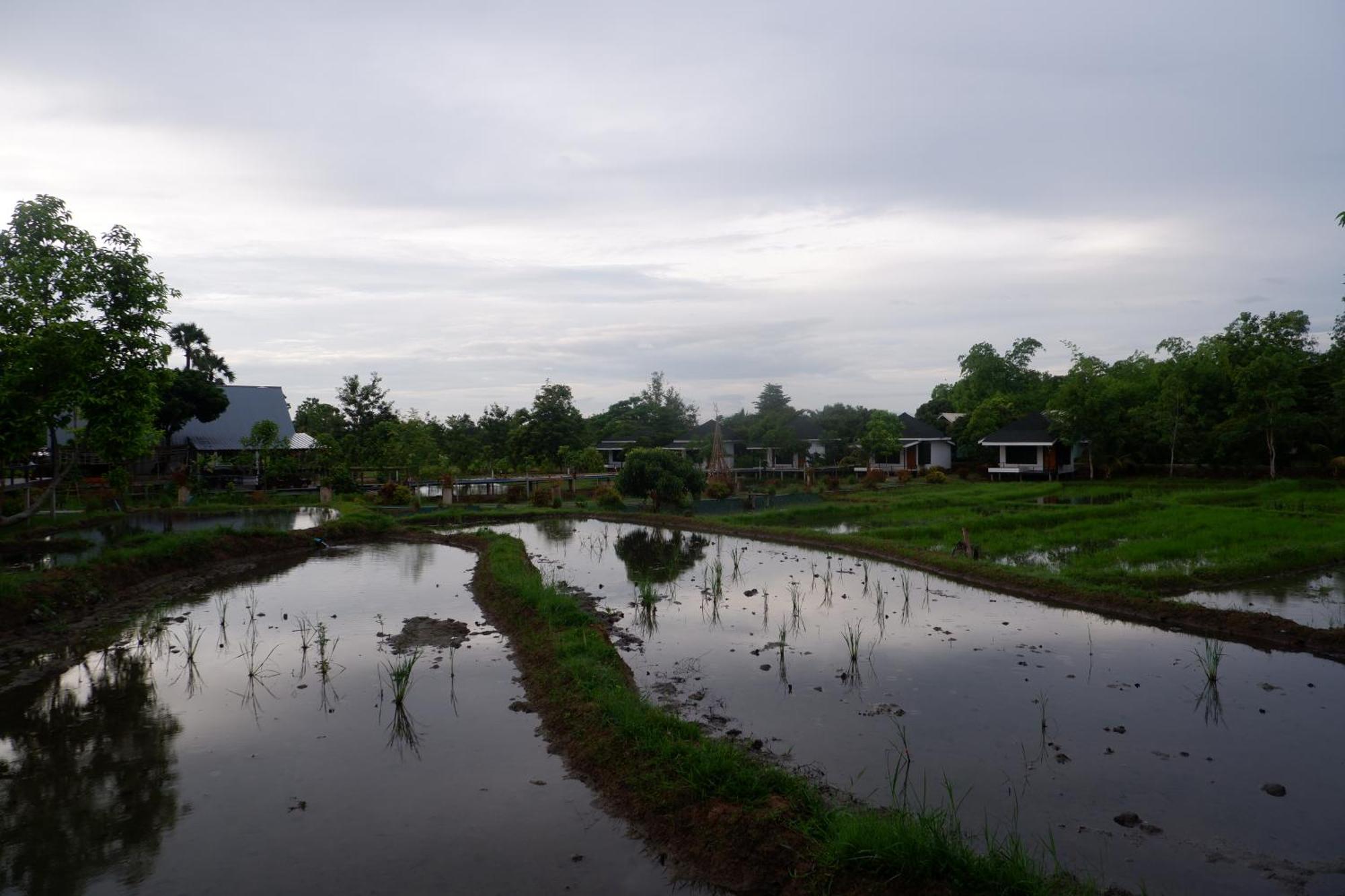 Nok Chan Mee Na Chom Thong Esterno foto