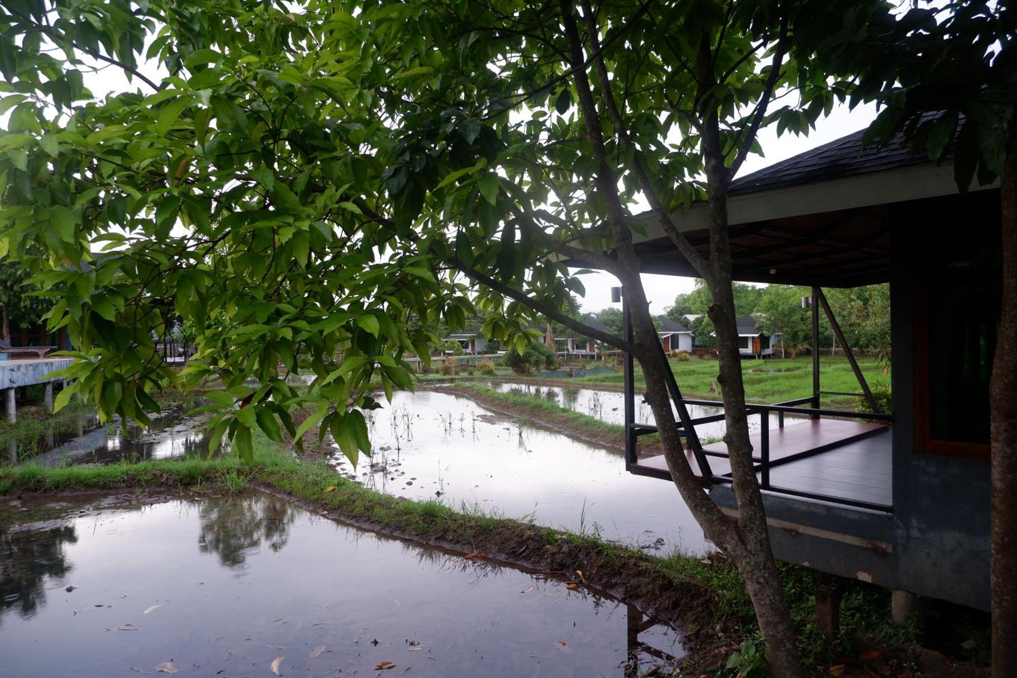 Nok Chan Mee Na Chom Thong Esterno foto