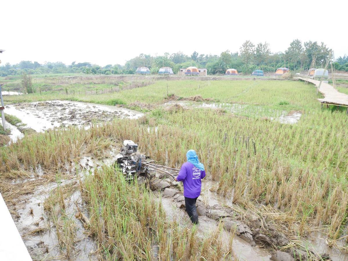 Nok Chan Mee Na Chom Thong Esterno foto