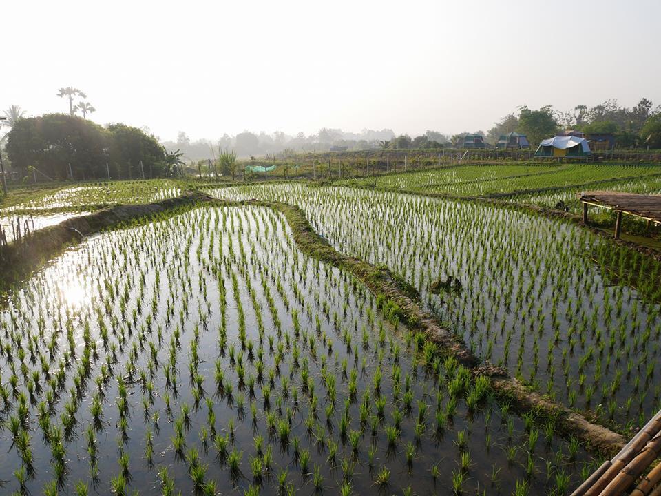 Nok Chan Mee Na Chom Thong Esterno foto